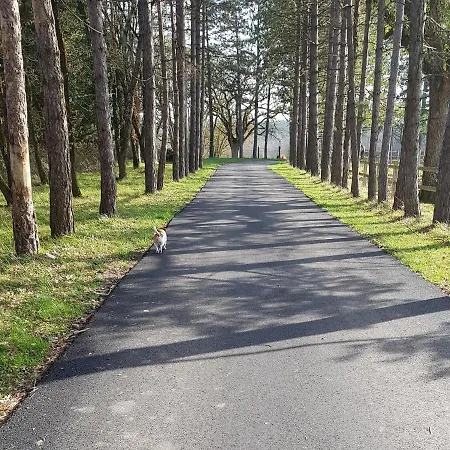 Equestre 拉罗什波赛